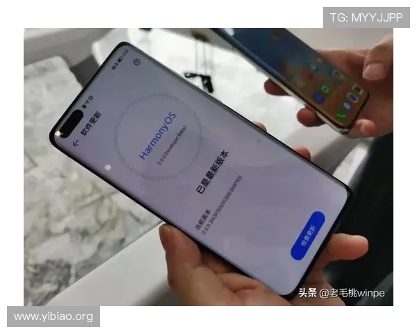 壹号平台下载安装官方网站完整流程，轻松掌握安全安装技巧和注意事项